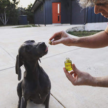 Load image into Gallery viewer, Pet Drops